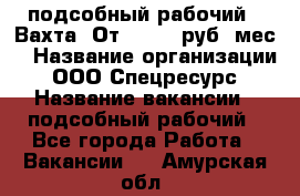 подсобный рабочий . Вахта. От 30 000 руб./мес. › Название организации ­ ООО Спецресурс › Название вакансии ­ подсобный рабочий - Все города Работа » Вакансии   . Амурская обл.